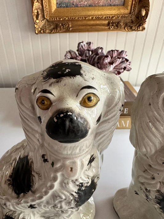 Antique Staffordshire Black & White Mantle Dogs Pair – 9.5”