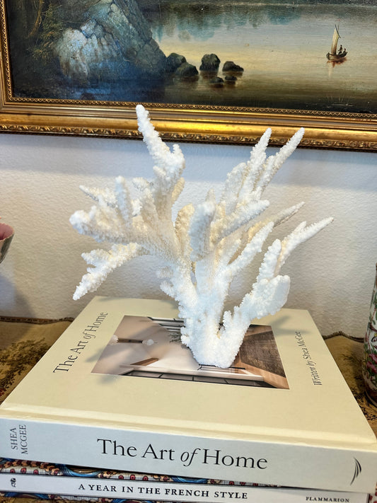 Large White Branch Coral Specimen Coastal Decor