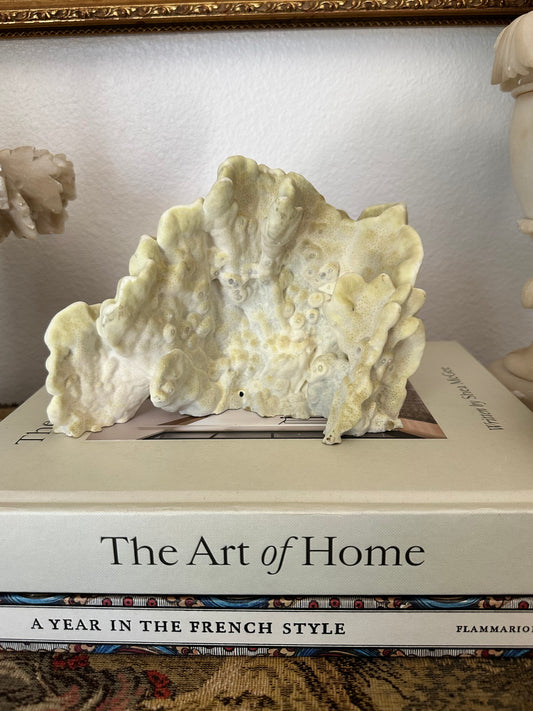 Natural Yellow Coral Specimen Sculpture