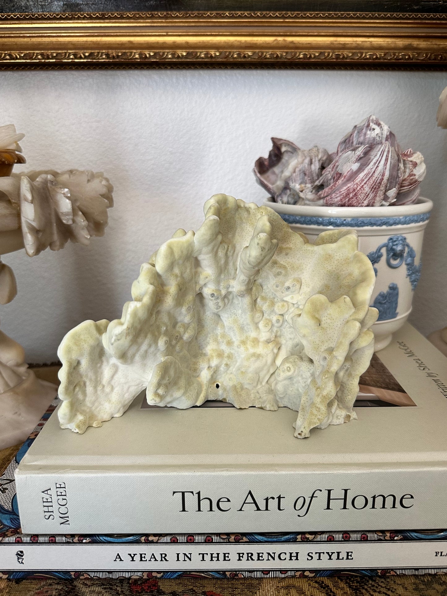 Natural Yellow Coral Specimen Sculpture