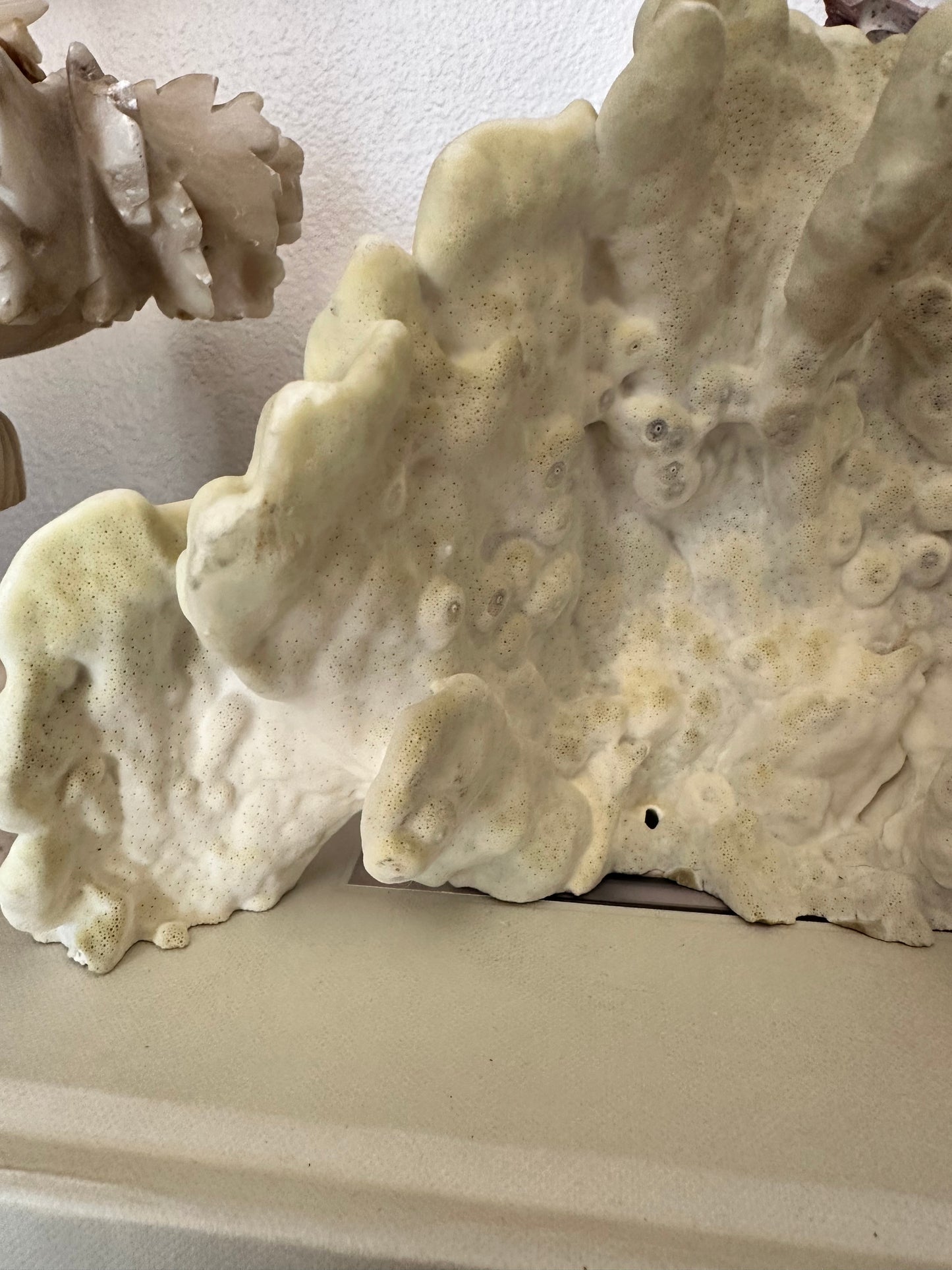 Natural Yellow Coral Specimen Sculpture