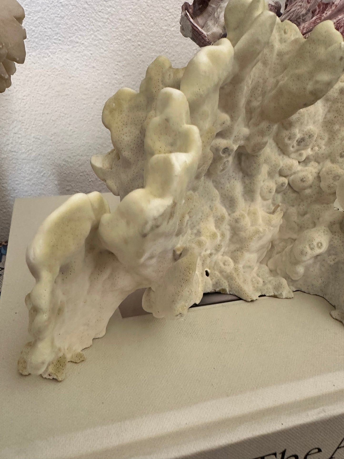 Natural Yellow Coral Specimen Sculpture