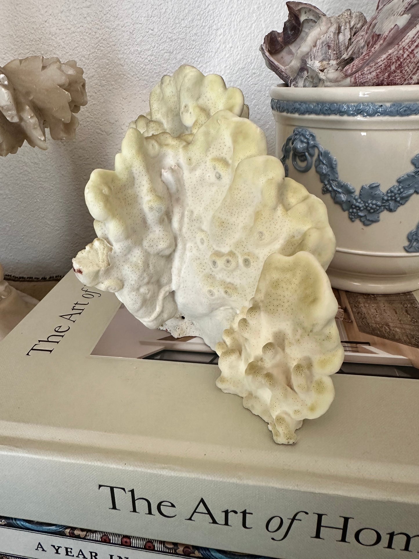Natural Yellow Coral Specimen Sculpture