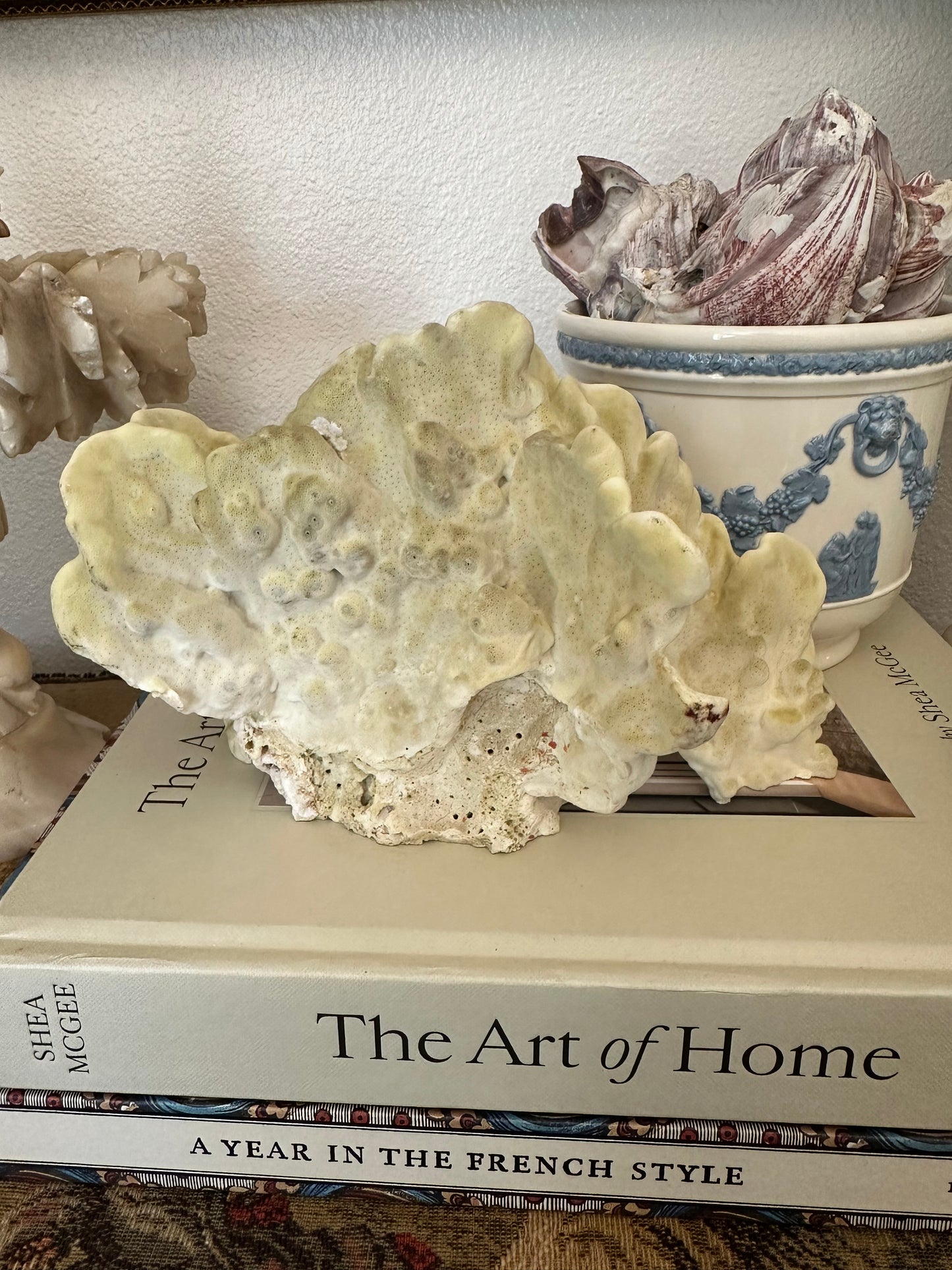 Natural Yellow Coral Specimen Sculpture