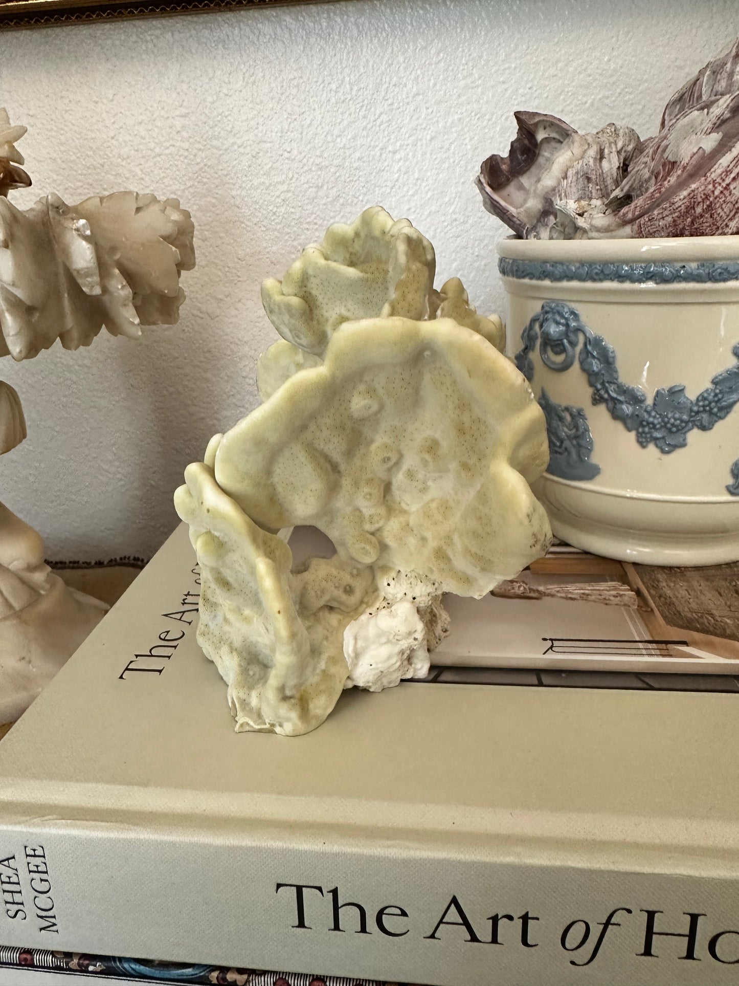 Natural Yellow Coral Specimen Sculpture