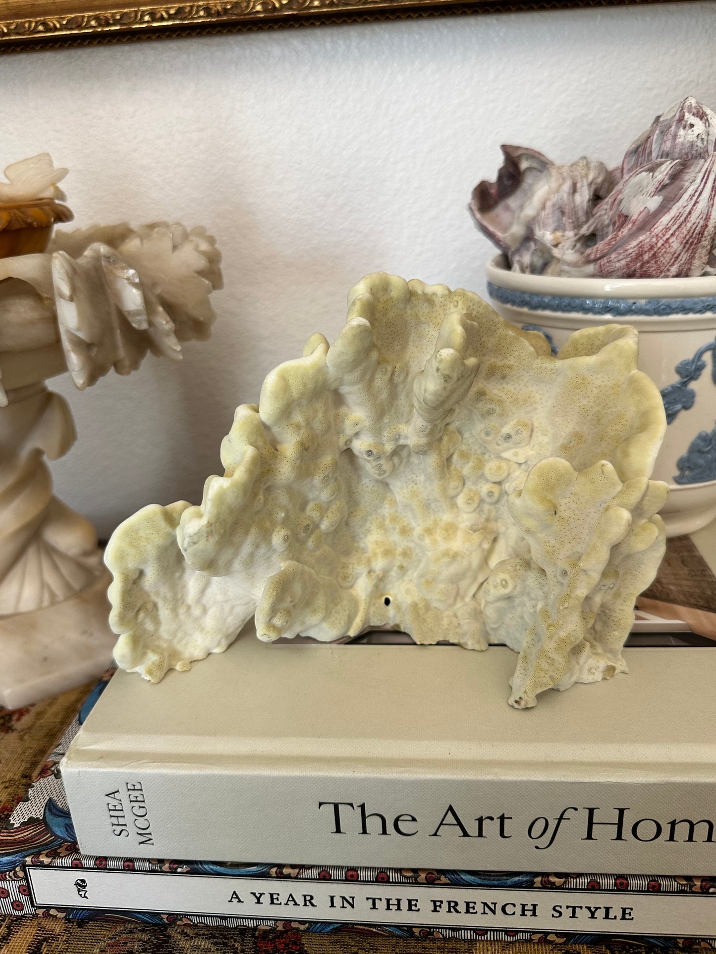 Natural Yellow Coral Specimen Sculpture