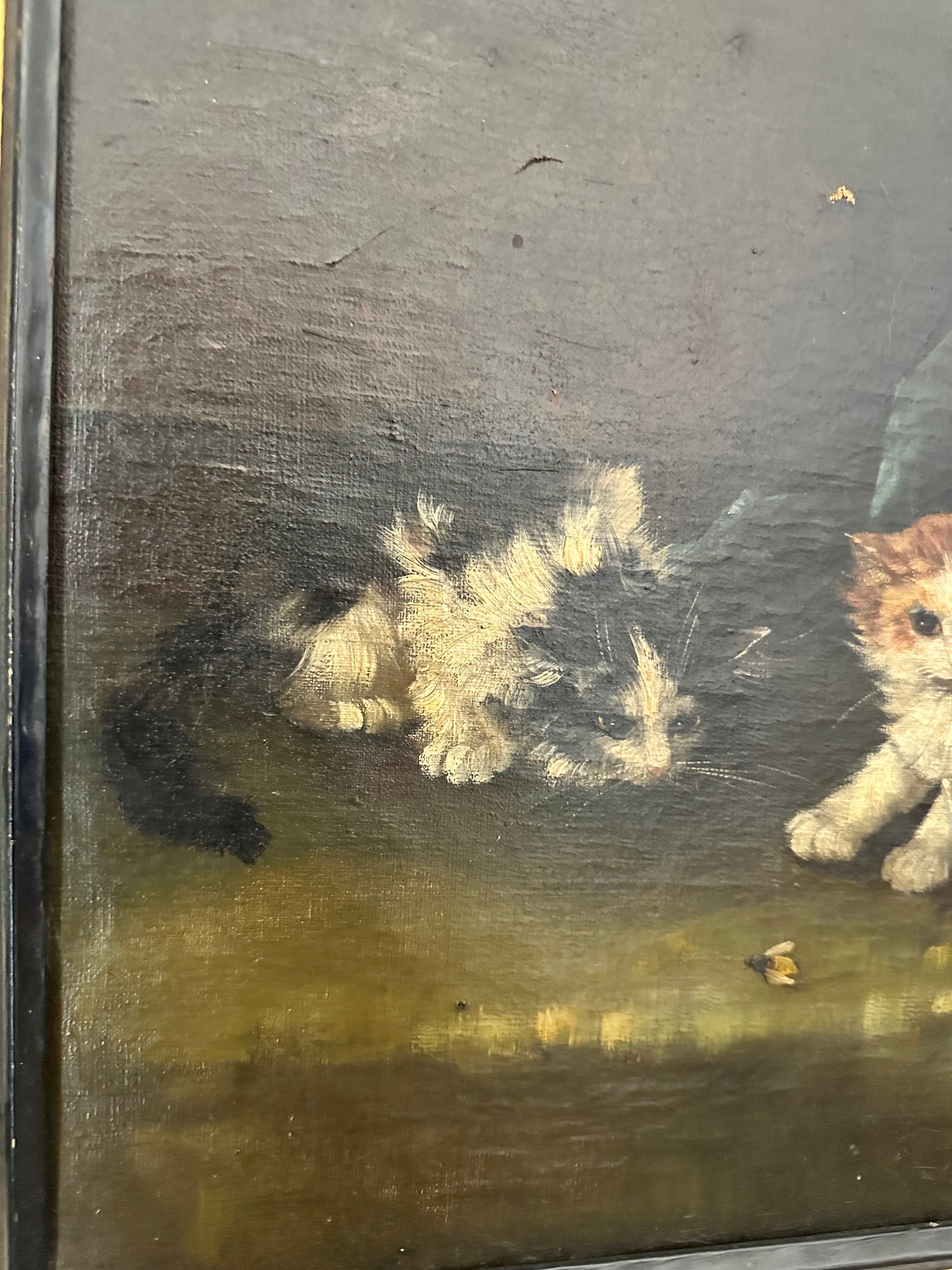 Antique Victorian Oil Painting of Kittens | Moody Cat Portrait