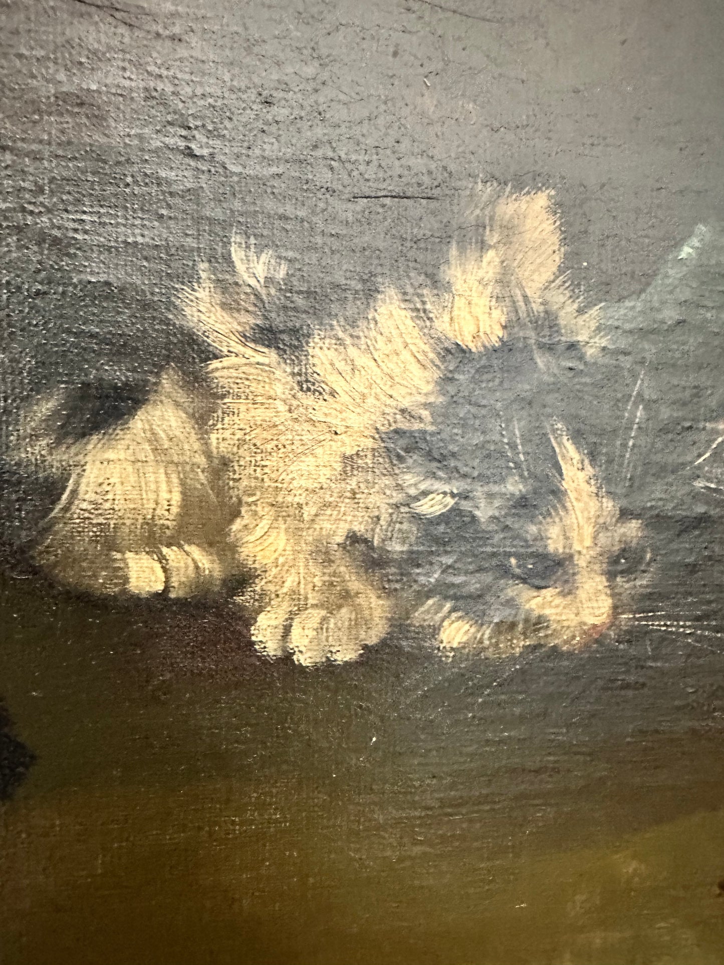 Antique Victorian Oil Painting of Kittens | Moody Cat Portrait