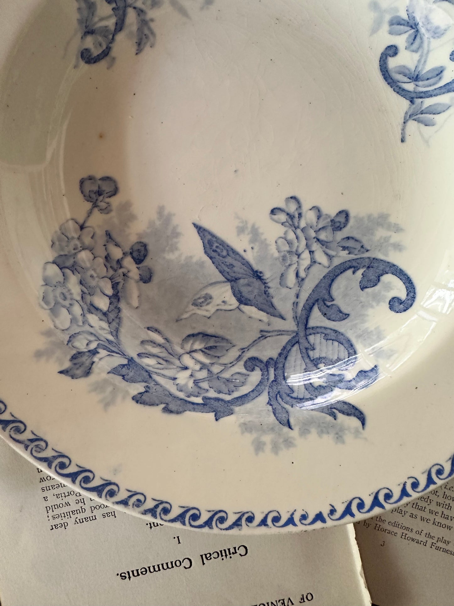 Antique French Terre de Fer Papillons Ironstone Serving Bowls | Blue Transferware - 8.75"