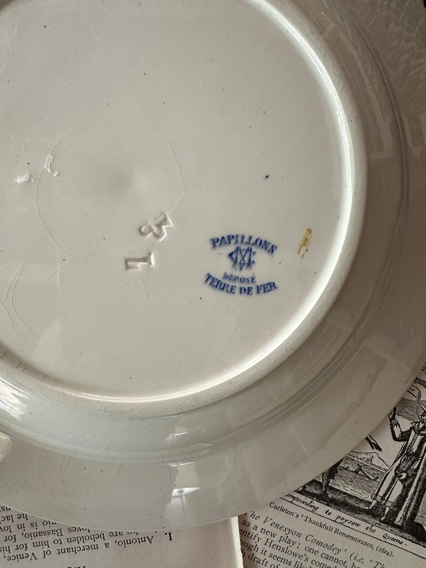 Antique French Terre de Fer Papillons Ironstone Serving Bowls | Blue Transferware - 8.75"