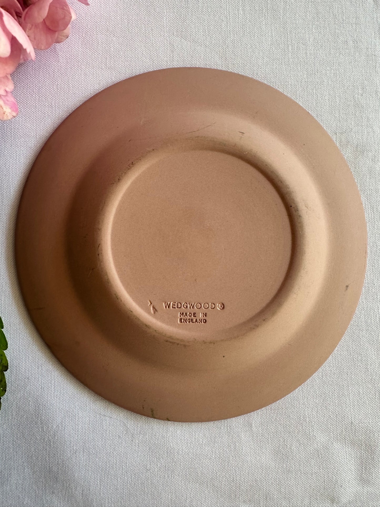 Vintage Wedgwood Jasperware Trinket Dish – Cayman Islands Sea Turtle