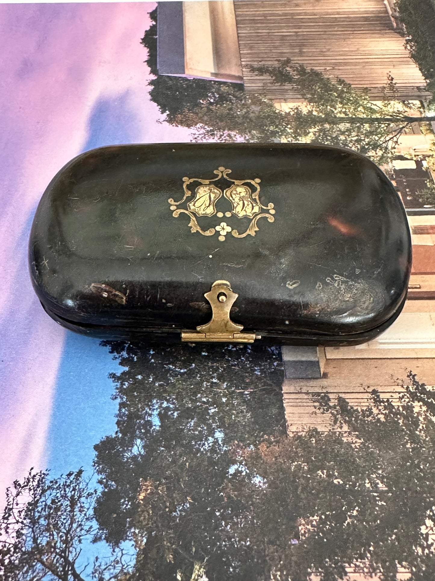 Antique Faux Tortoiseshell Étui with Gilt Decoration