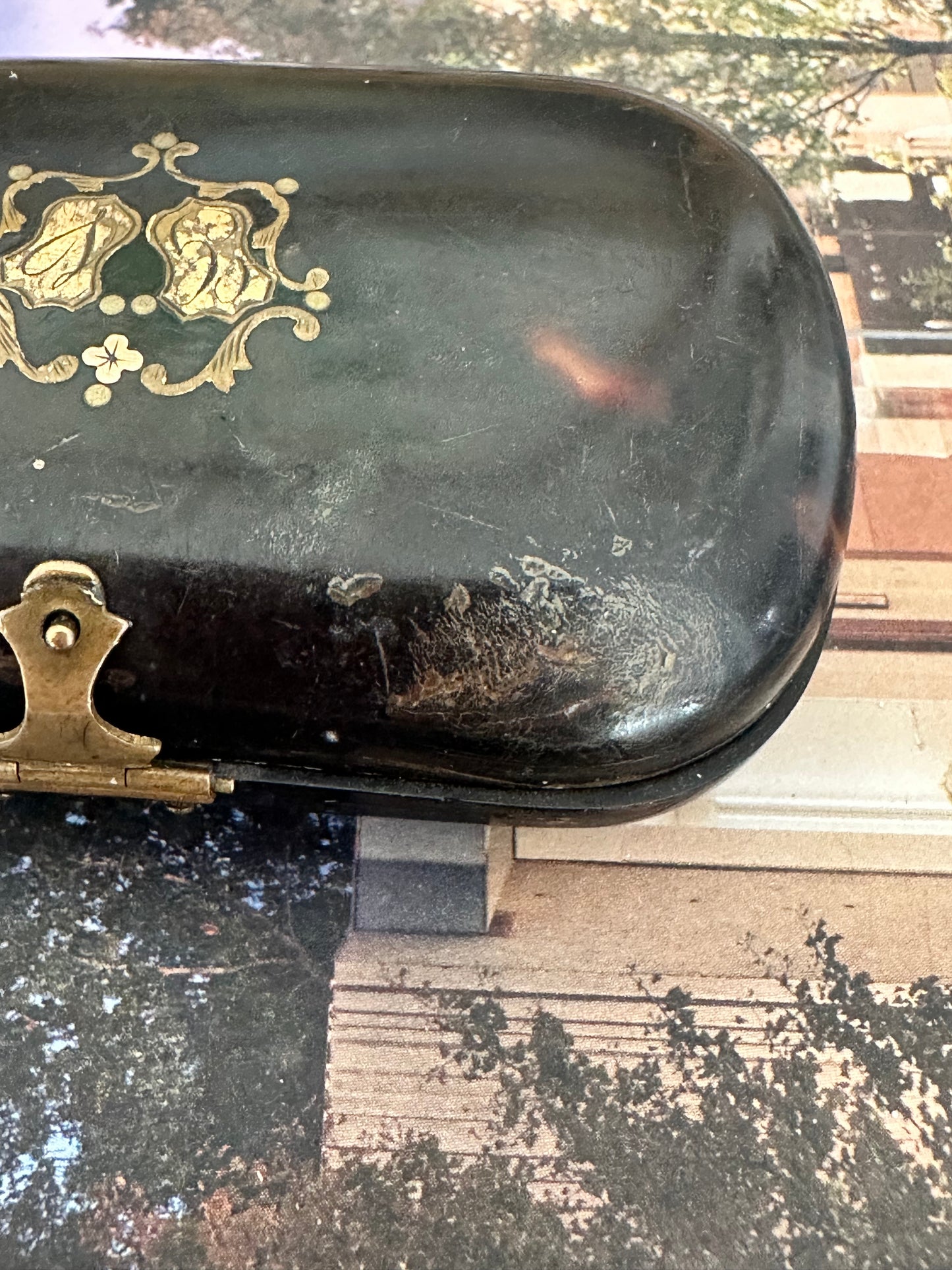 Antique Faux Tortoiseshell Étui with Gilt Decoration