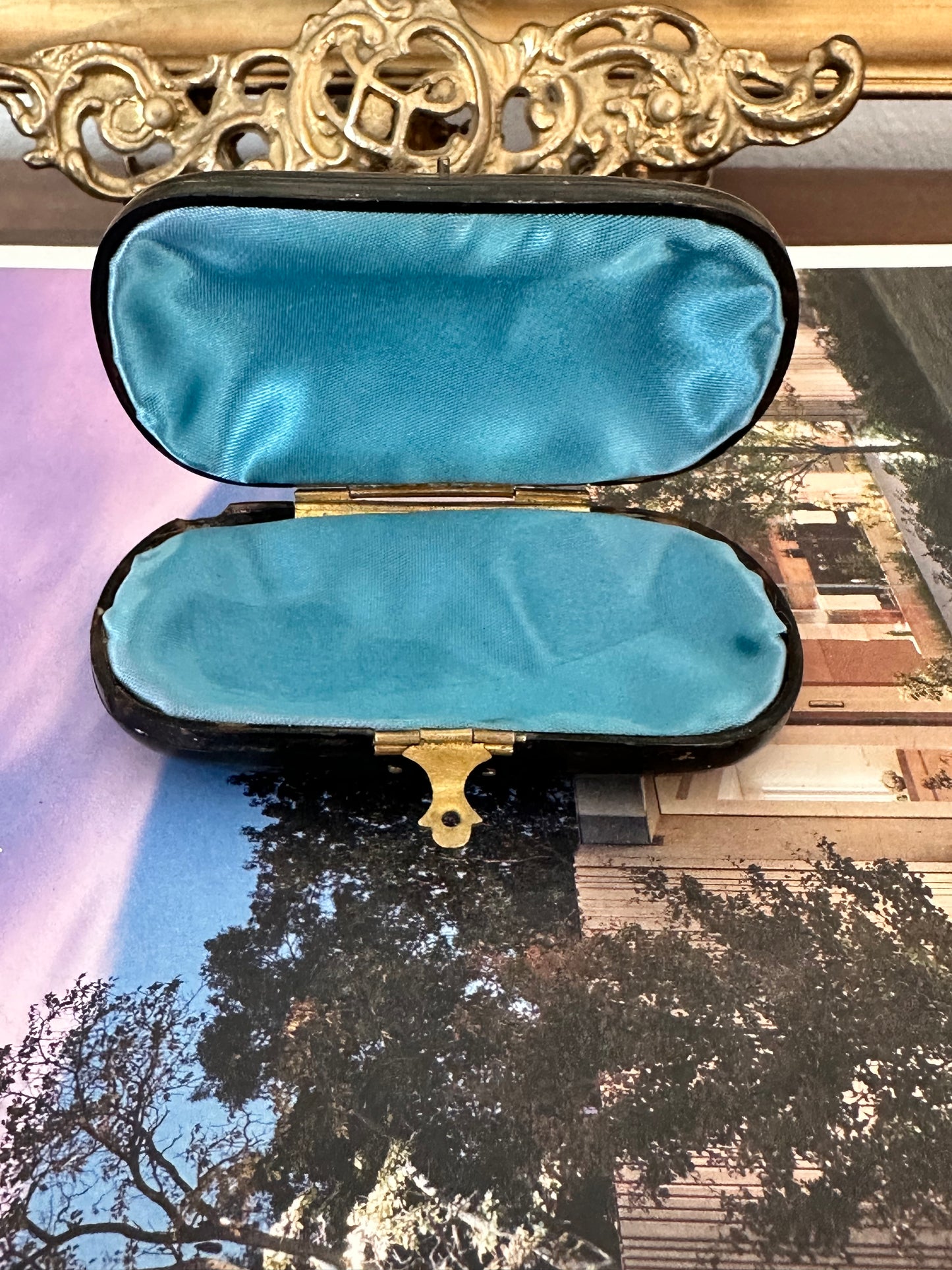 Antique Faux Tortoiseshell Étui with Gilt Decoration
