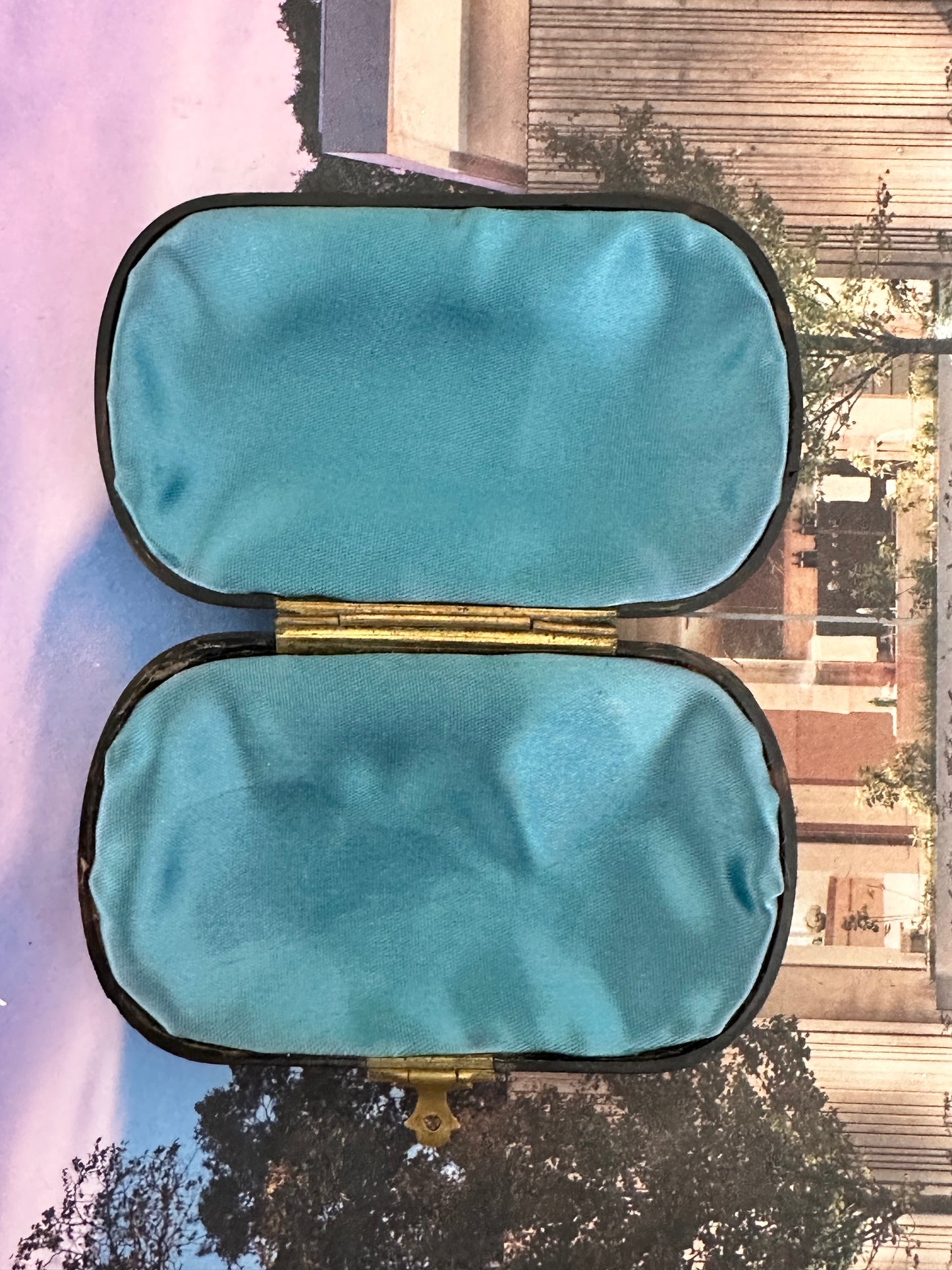 Antique Faux Tortoiseshell Étui with Gilt Decoration