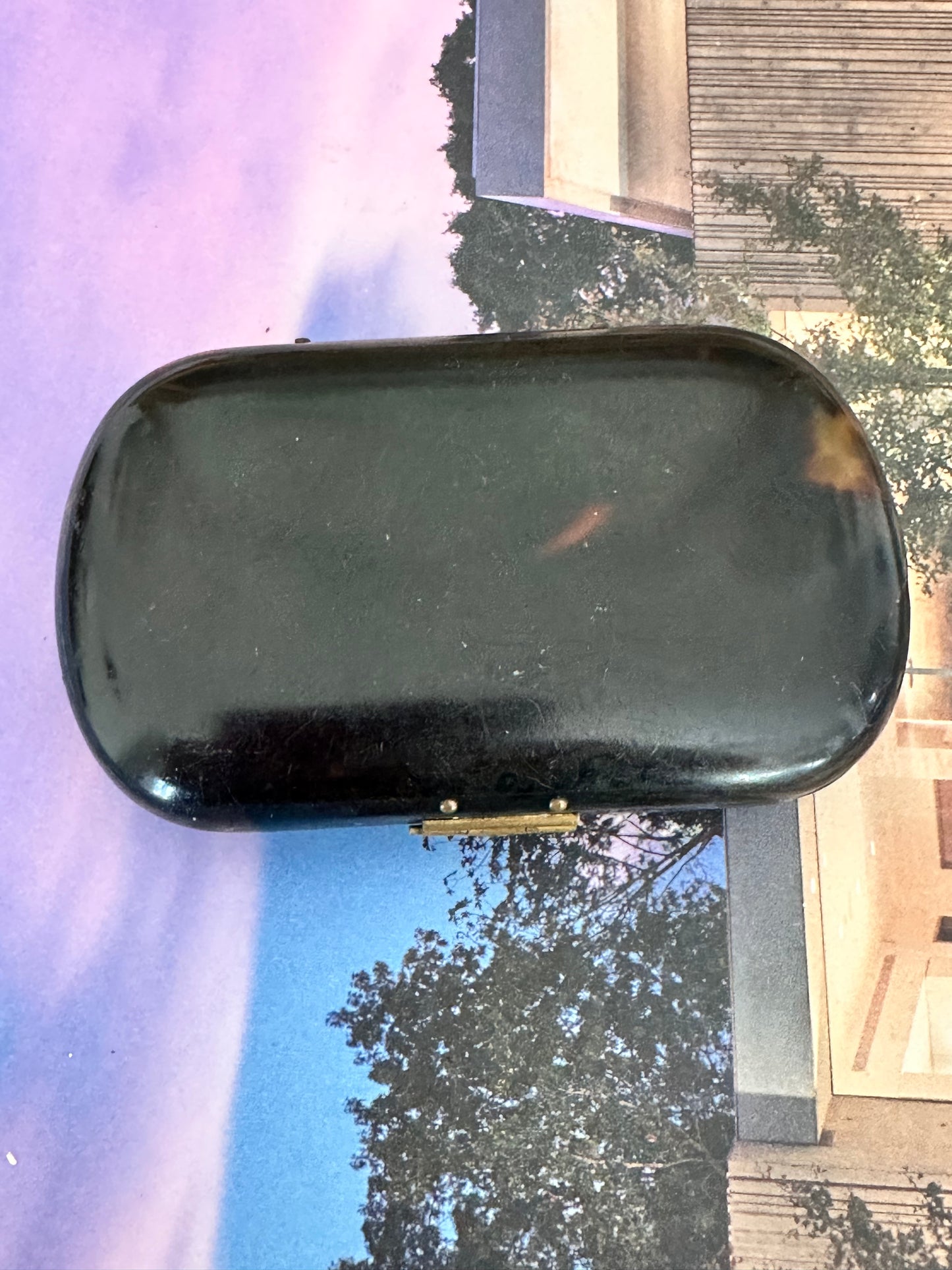 Antique Faux Tortoiseshell Étui with Gilt Decoration