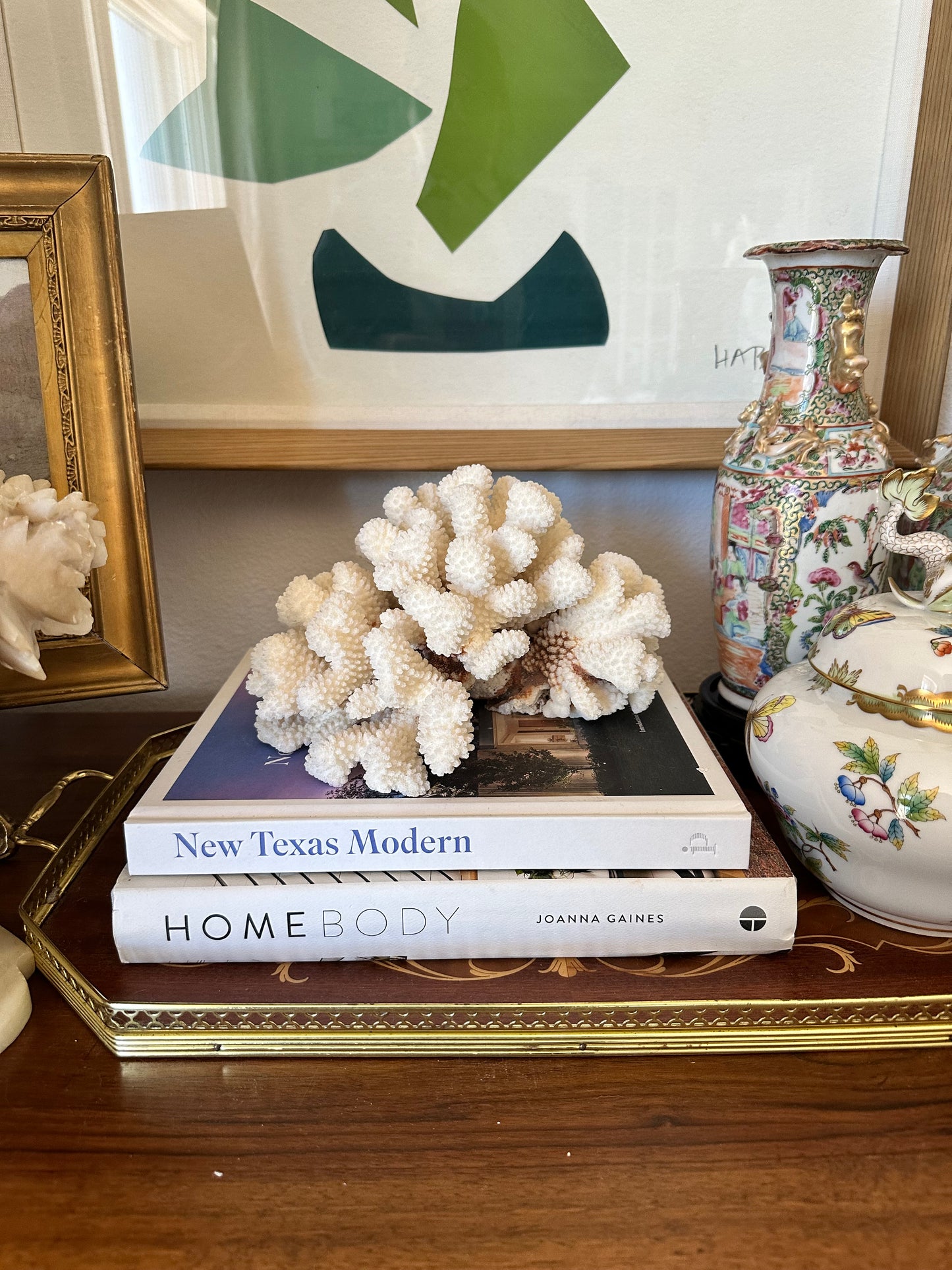 Natural Cat Paw Coral Specimen, White Coastal Decor, 8.75”