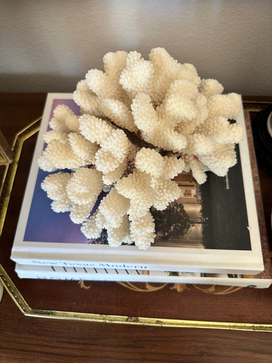 Natural Cat Paw Coral Specimen, White Coastal Decor, 8.75”