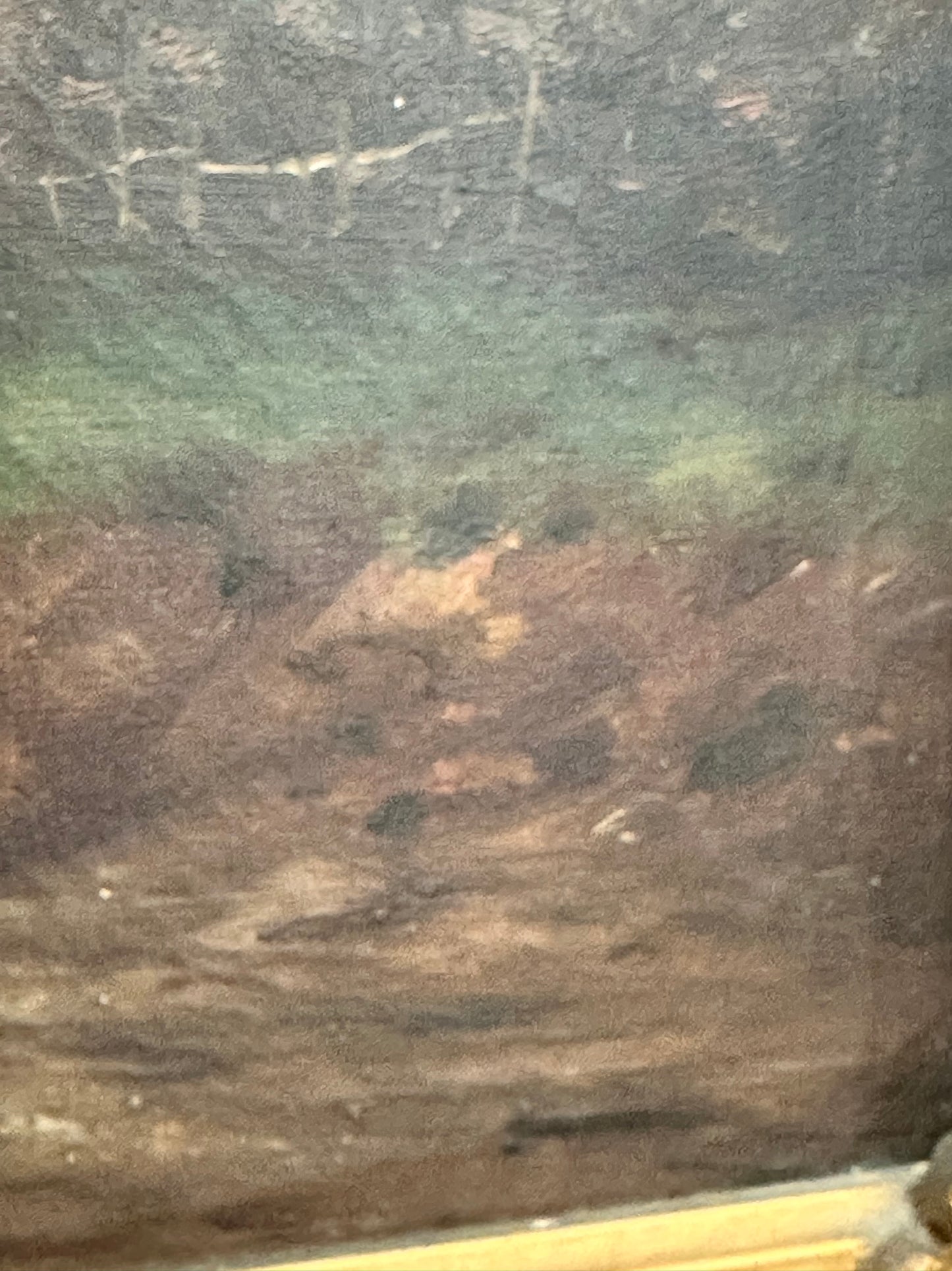Antique European Pastoral Landscape Oil Painting in Ornate Gilt Frame